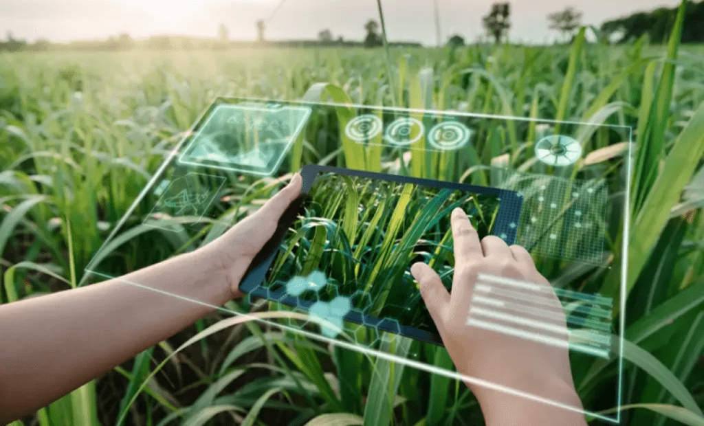 Foto de uma plantação onde aparece uma pessoa segurando um tablet e sobre o tablet tem um holograma simulando gráficos estatísticos